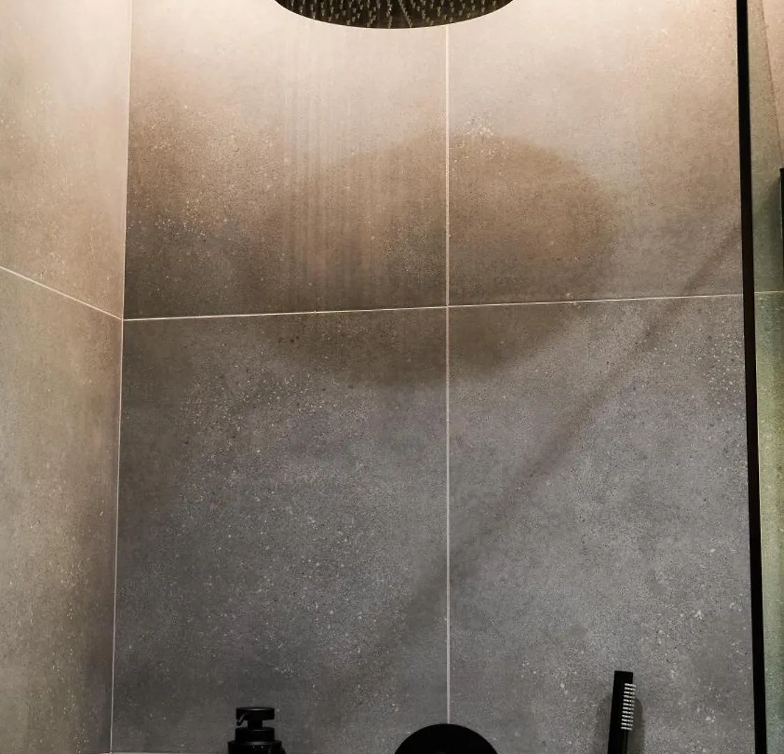 Royal Apartment On Wenceslas Square براغ 0*,